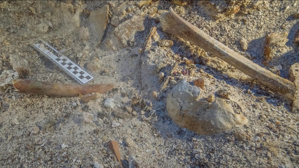 Resti scheletrici in situ nello scavo sul relitto di Antikythera. Foto-di-Brett-Seymour-EUA-WHOI-ARGO